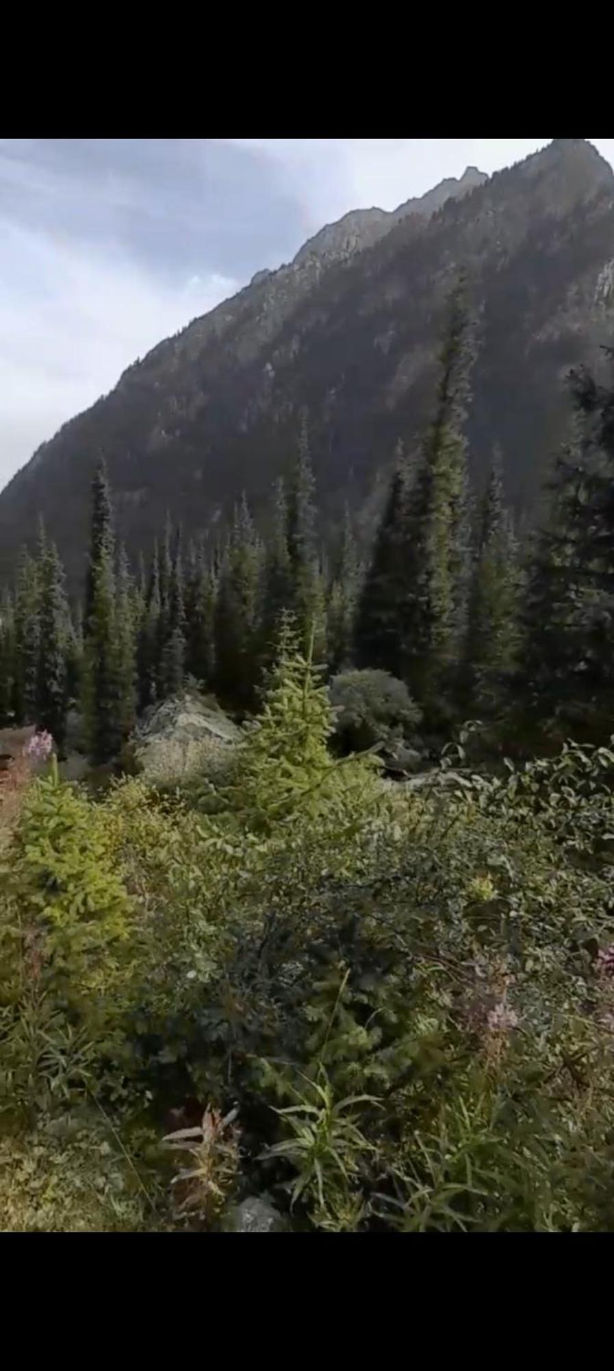 كاراكول Waterfall In The Yard المظهر الخارجي الصورة