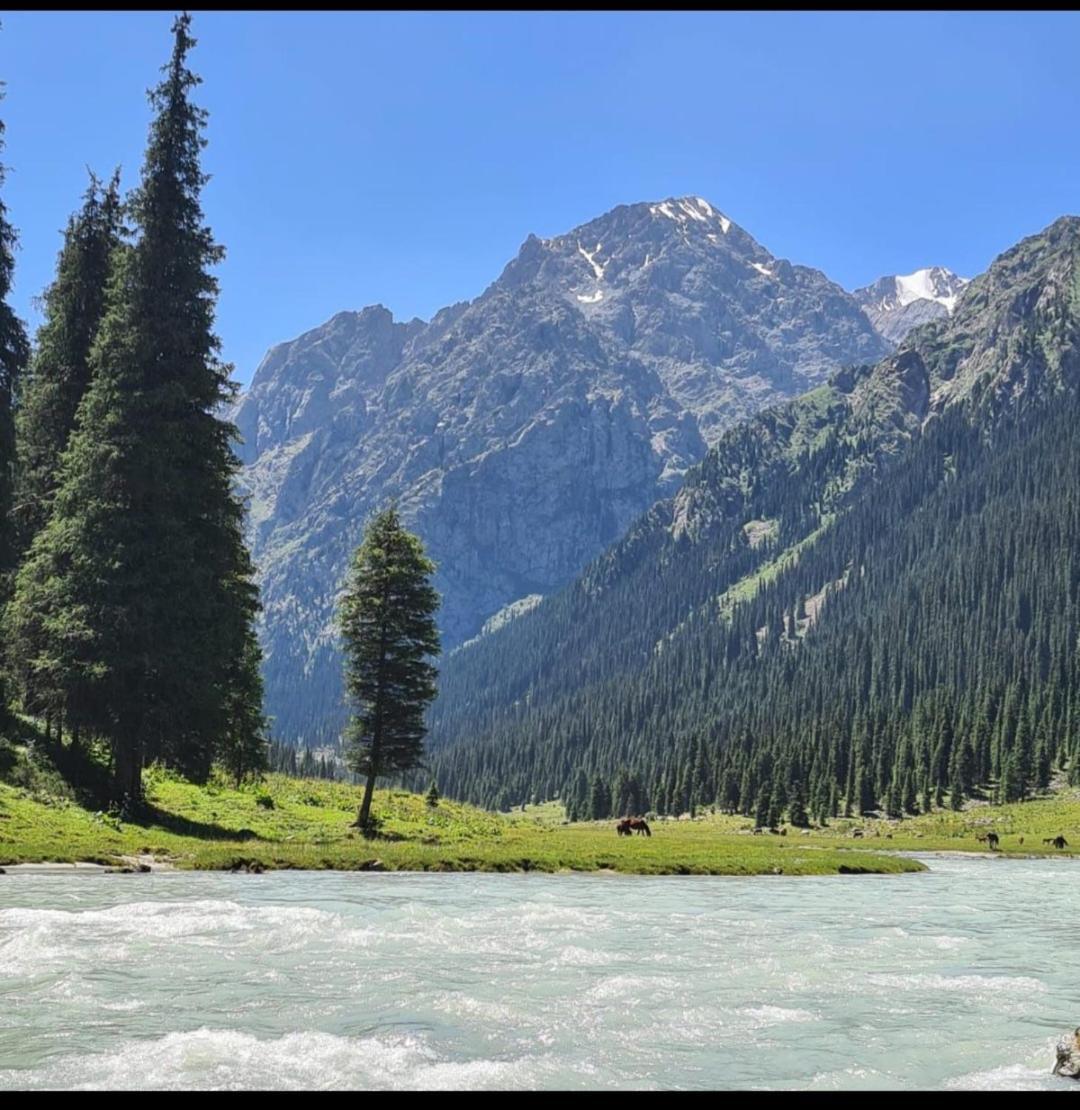 كاراكول Waterfall In The Yard المظهر الخارجي الصورة