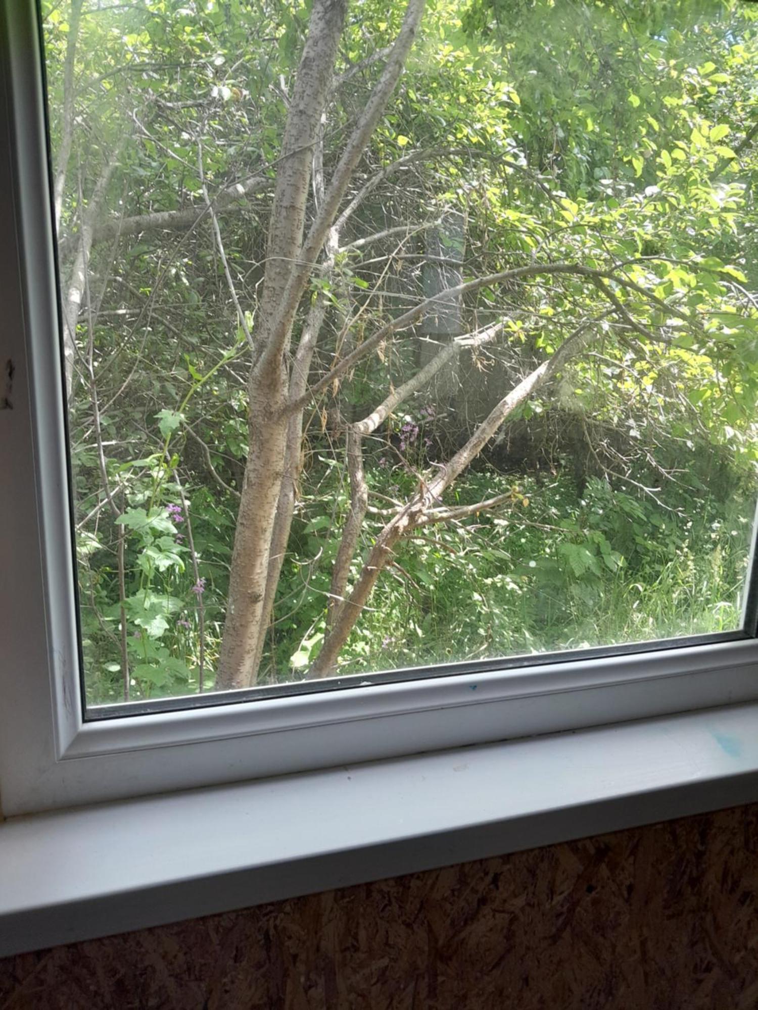 كاراكول Waterfall In The Yard المظهر الخارجي الصورة