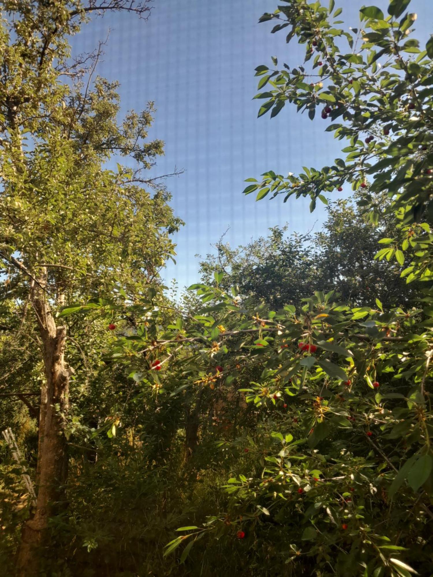 كاراكول Waterfall In The Yard المظهر الخارجي الصورة