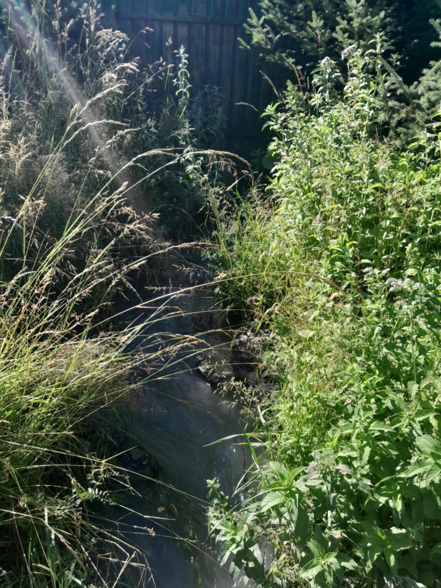 كاراكول Waterfall In The Yard المظهر الخارجي الصورة
